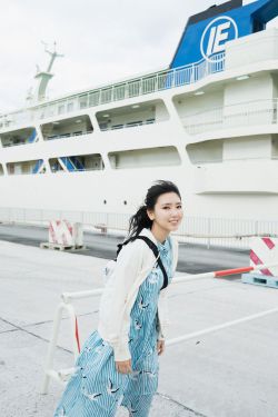 美丽的海棠红4 封面